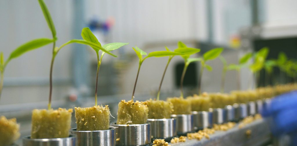 Sunridge Partners Sunridge Partners announces the sale of Ontario